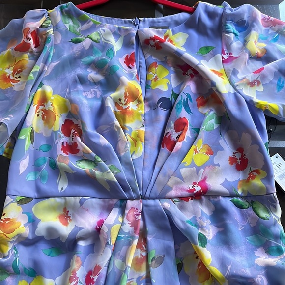 Adrianna Papell Floral Print Chiffon Gown - Picture 14 of 16